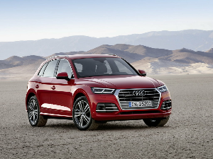 Коврики EVA для Audi Q5 II (suv / FY) 2016 - Н.В.